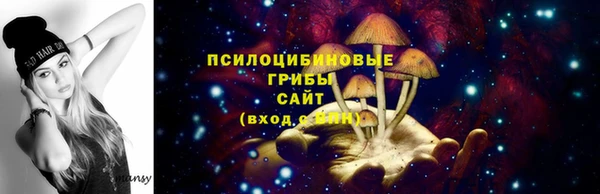крисы Волоколамск