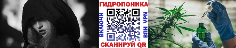 Марихуана планчик  Купить закладки  Наволоки 